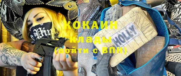 дживик Абаза