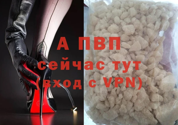 дживик Абаза